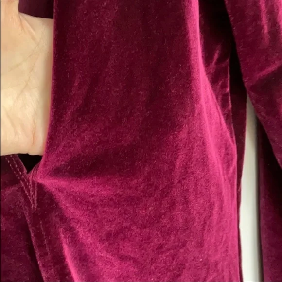 Express Velvet Burgundy Bodysuit - Picture 3 of 4